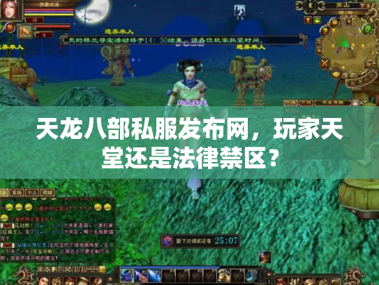 天龙八部私服发布网，玩家天堂还是法律禁区？