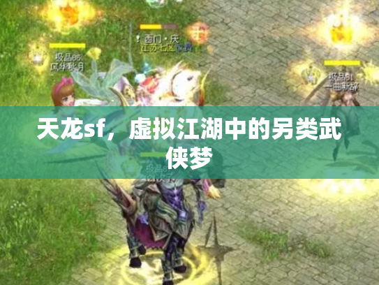 天龙sf，虚拟江湖中的另类武侠梦