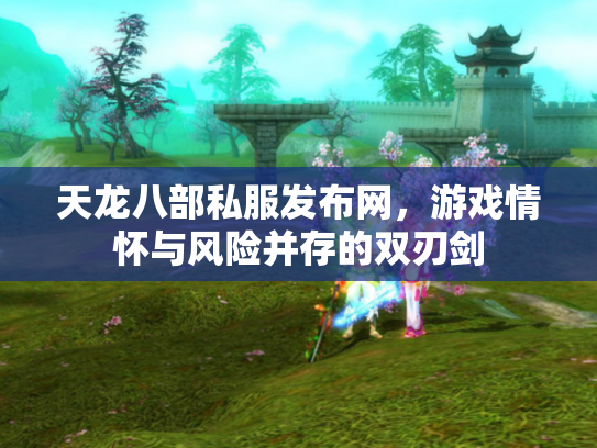 天龙八部私服发布网，游戏情怀与风险并存的双刃剑