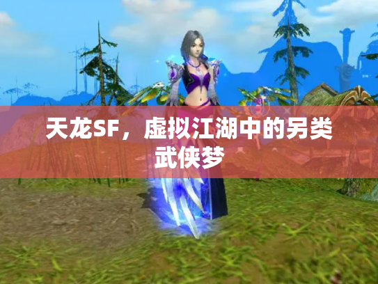 天龙SF，虚拟江湖中的另类武侠梦