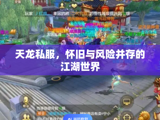 天龙私服，怀旧与风险并存的江湖世界
