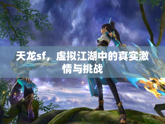 天龙sf，虚拟江湖中的真实激情与挑战