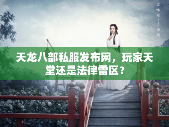 天龙八部私服发布网，玩家天堂还是法律雷区？