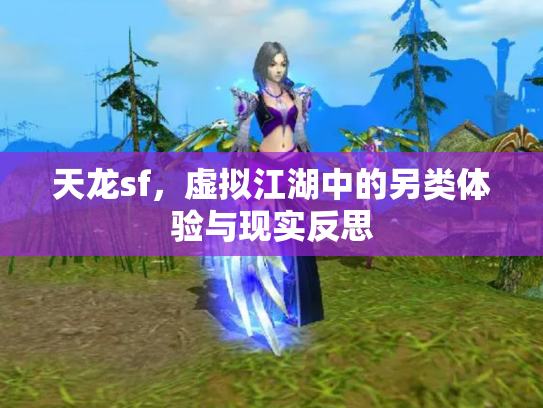天龙sf，虚拟江湖中的另类体验与现实反思