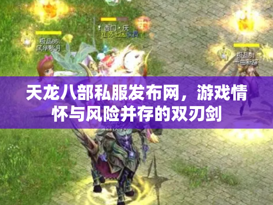 天龙八部私服发布网，游戏情怀与风险并存的双刃剑