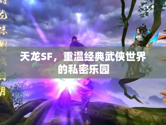 天龙SF，重温经典武侠世界的私密乐园