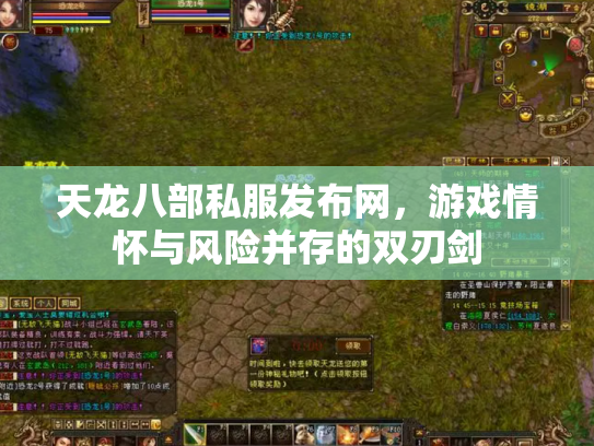 天龙八部私服发布网，游戏情怀与风险并存的双刃剑