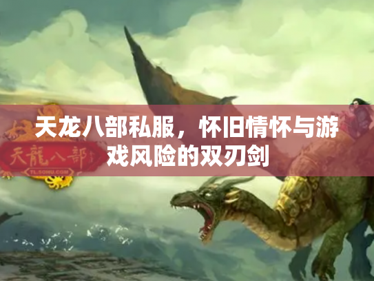 天龙八部私服，怀旧情怀与游戏风险的双刃剑