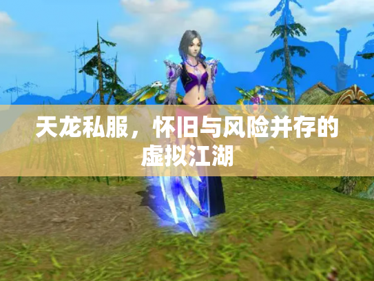 天龙私服，怀旧与风险并存的虚拟江湖