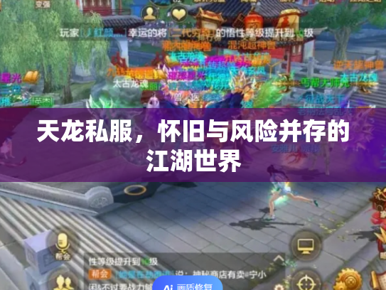 天龙私服，怀旧与风险并存的江湖世界