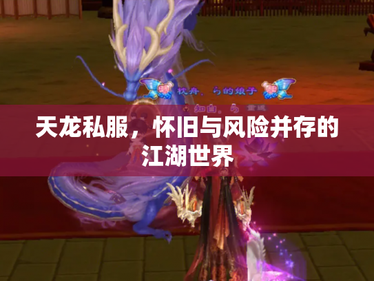 天龙私服，怀旧与风险并存的江湖世界