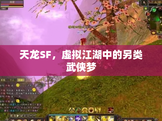 天龙SF，虚拟江湖中的另类武侠梦