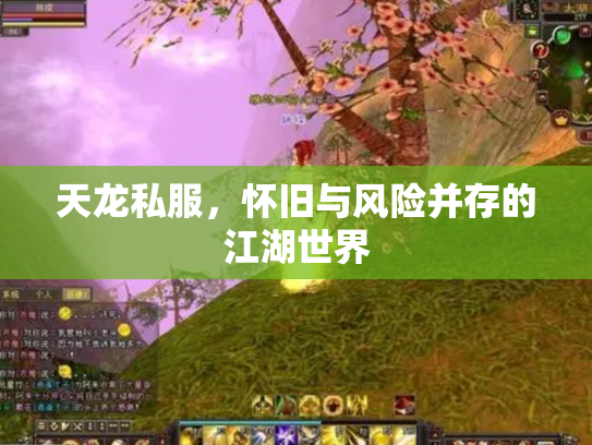 天龙私服，怀旧与风险并存的江湖世界