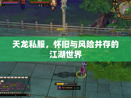 天龙私服，怀旧与风险并存的江湖世界