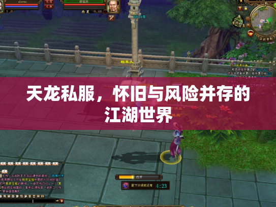天龙私服，怀旧与风险并存的江湖世界