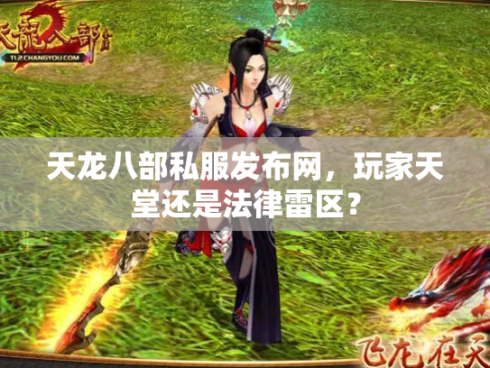 天龙八部私服发布网，玩家天堂还是法律雷区？