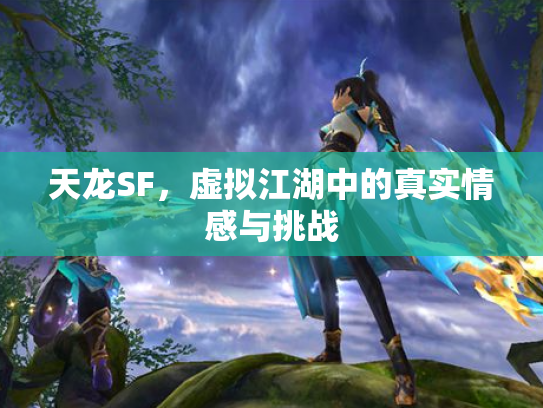 天龙SF，虚拟江湖中的真实情感与挑战