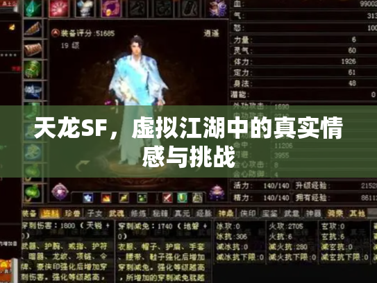 天龙SF，虚拟江湖中的真实情感与挑战