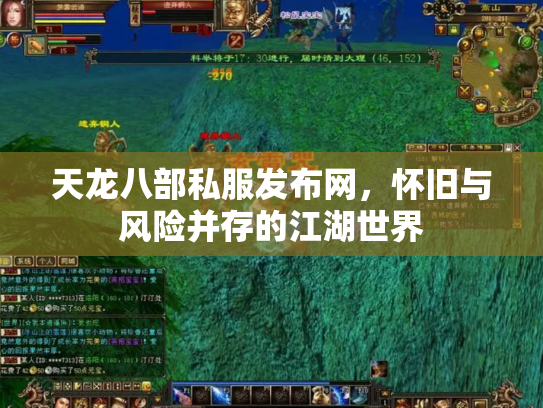 天龙八部私服发布网，怀旧与风险并存的江湖世界