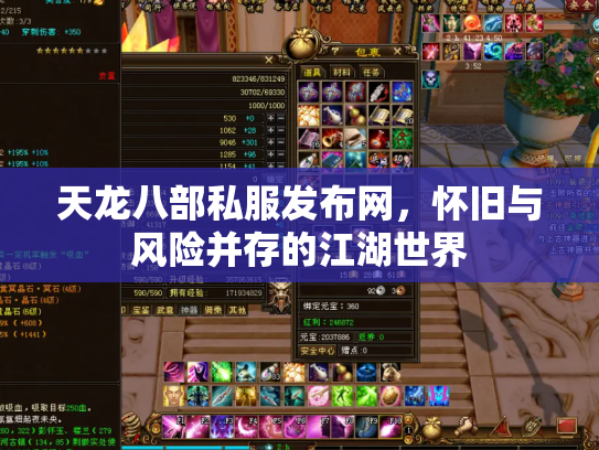 天龙八部私服发布网，怀旧与风险并存的江湖世界