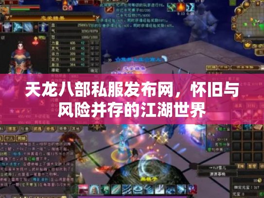 天龙八部私服发布网，怀旧与风险并存的江湖世界