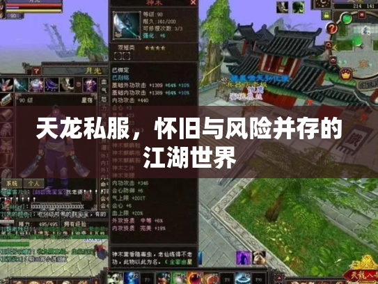 天龙私服，怀旧与风险并存的江湖世界
