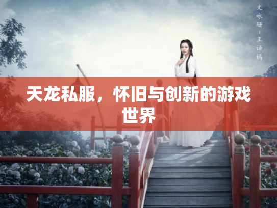 天龙私服，怀旧与创新的游戏世界