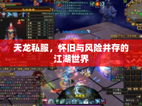 天龙私服，怀旧与风险并存的江湖世界