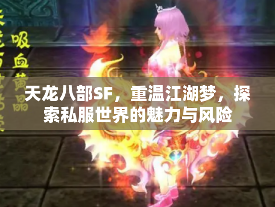 天龙八部SF，重温江湖梦，探索私服世界的魅力与风险