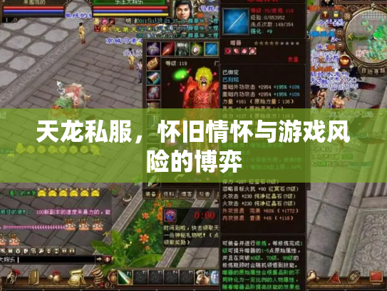 天龙私服，怀旧情怀与游戏风险的博弈