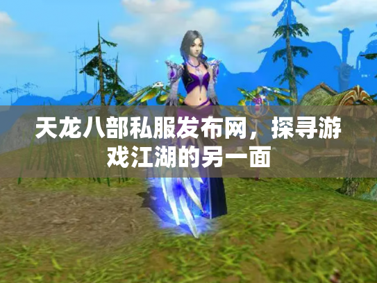 天龙八部私服发布网，探寻游戏江湖的另一面