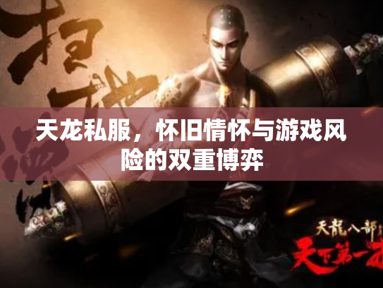 天龙私服，怀旧情怀与游戏风险的双重博弈