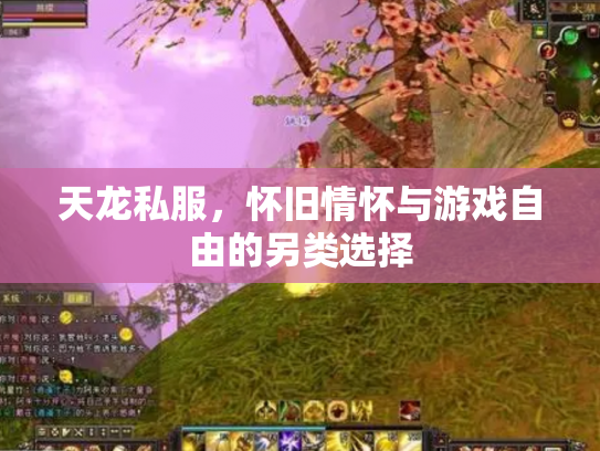 天龙私服，怀旧情怀与游戏自由的另类选择