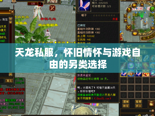 天龙私服，怀旧情怀与游戏自由的另类选择