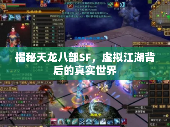 揭秘天龙八部SF，虚拟江湖背后的真实世界