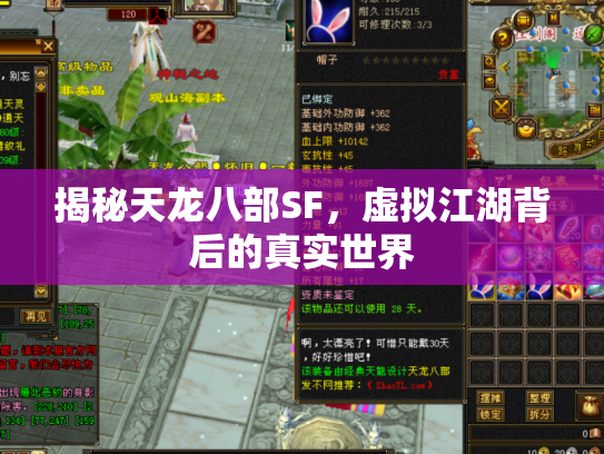 揭秘天龙八部SF，虚拟江湖背后的真实世界