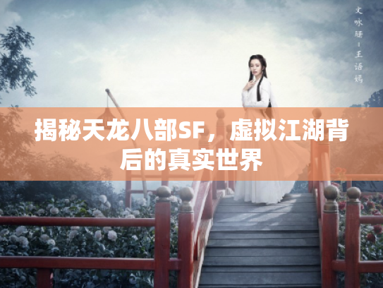 揭秘天龙八部SF，虚拟江湖背后的真实世界