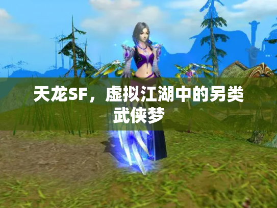 天龙SF，虚拟江湖中的另类武侠梦