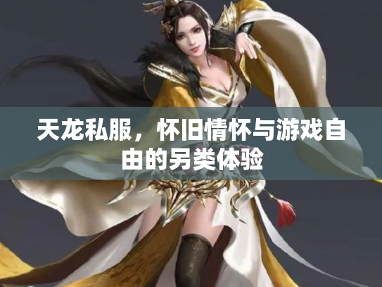 天龙私服，怀旧情怀与游戏自由的另类体验