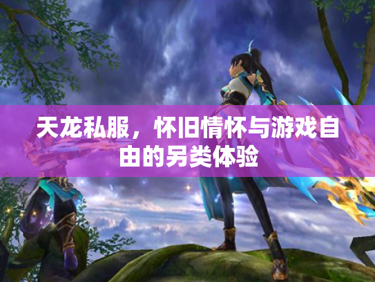 天龙私服，怀旧情怀与游戏自由的另类体验
