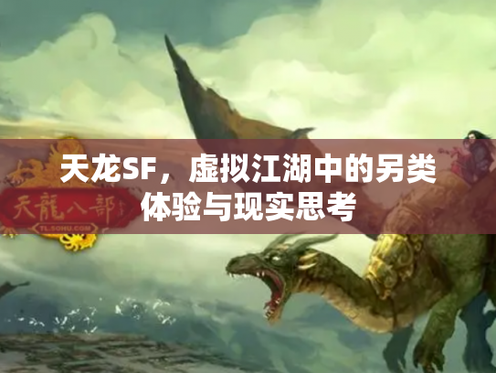 天龙SF，虚拟江湖中的另类体验与现实思考