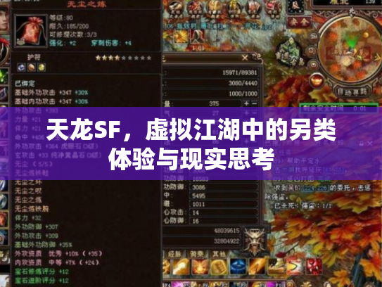 天龙SF，虚拟江湖中的另类体验与现实思考