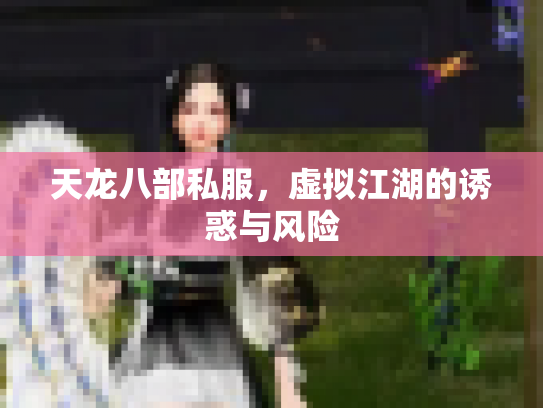天龙八部私服，虚拟江湖的诱惑与风险