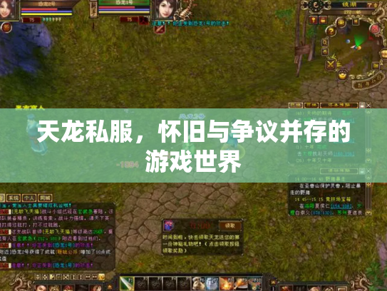 天龙私服，怀旧与争议并存的游戏世界