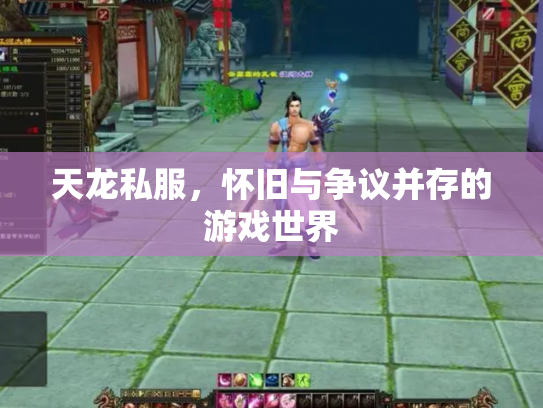 天龙私服，怀旧与争议并存的游戏世界