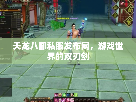天龙八部私服发布网，游戏世界的双刃剑