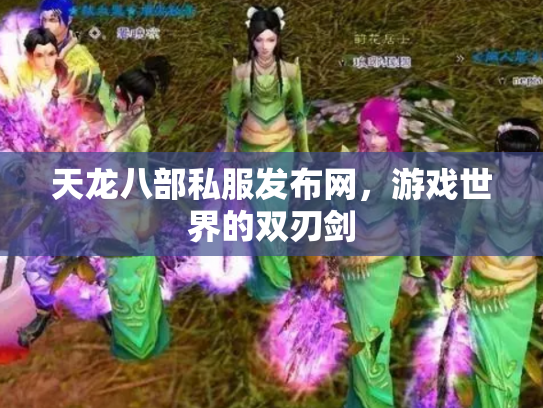 天龙八部私服发布网，游戏世界的双刃剑