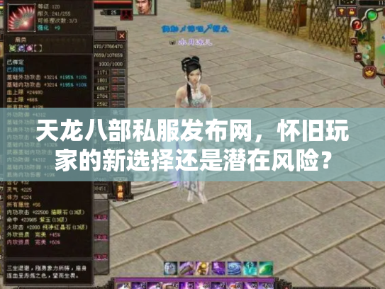 天龙八部私服发布网，怀旧玩家的新选择还是潜在风险？