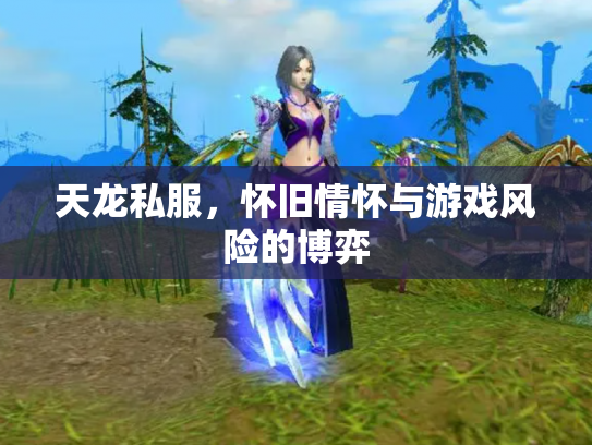 天龙私服，怀旧情怀与游戏风险的博弈