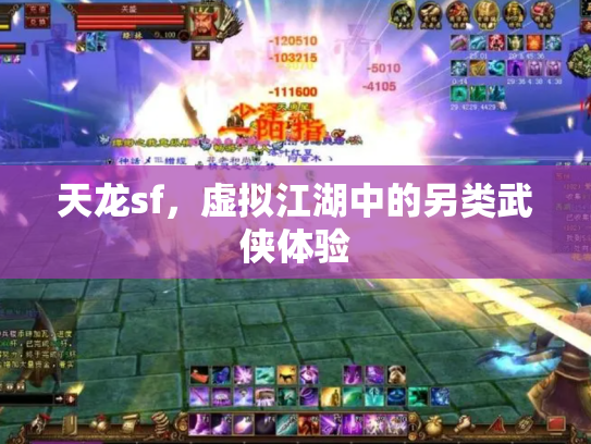 天龙sf，虚拟江湖中的另类武侠体验